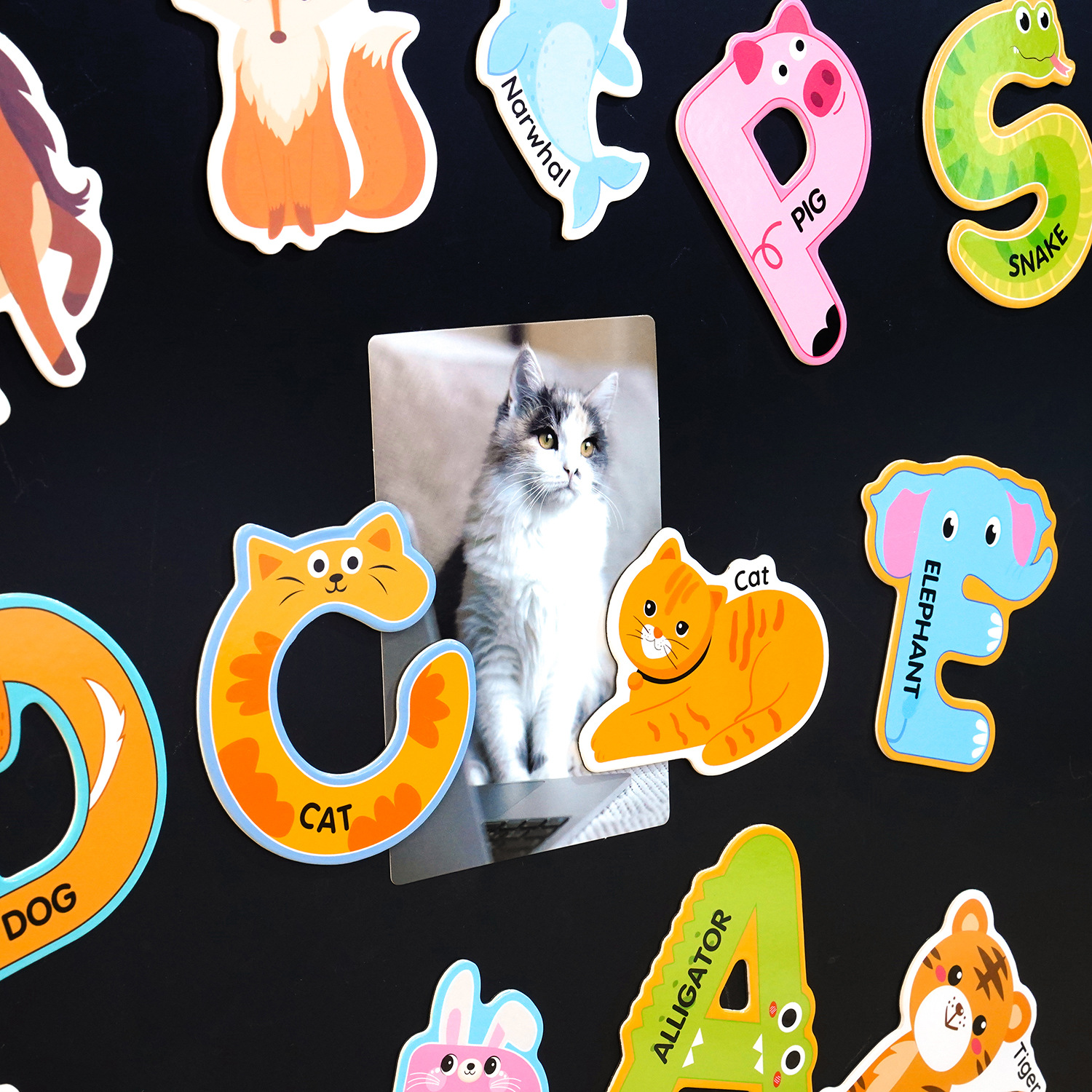 跨境动物冰箱贴创意磁吸儿童学习教具字母数字组合diy软磁冰箱贴详情7