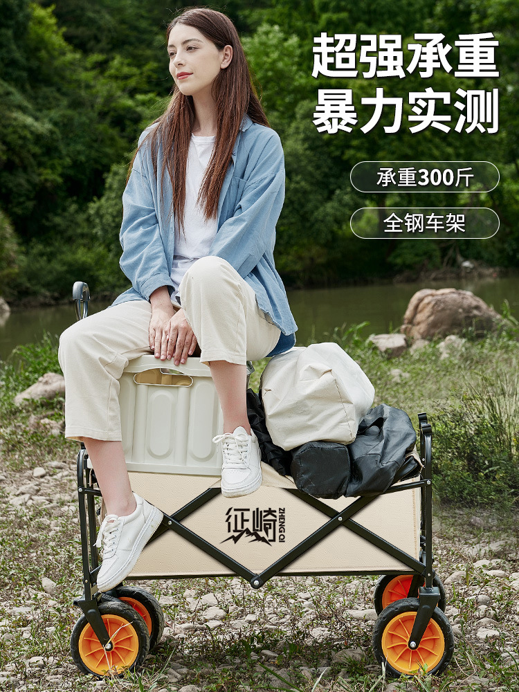 其他分类实物图