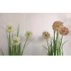 Wholesale potted plants, Nordic-style rural floral art, onion grass, simulated dandelion bonsai, soft furnishings, home and garden ornaments Specification image