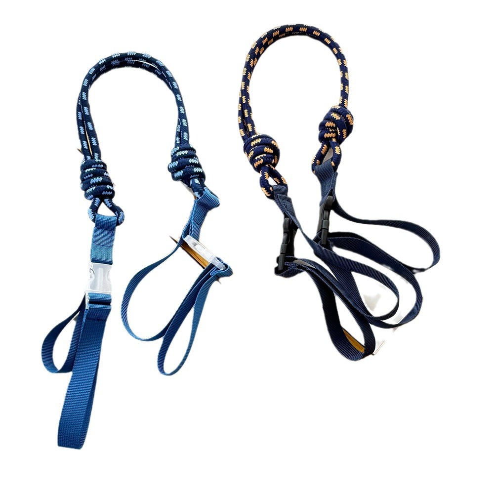 import白底实物图