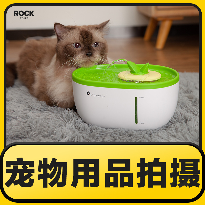 亚马逊宠物背带喂食器猫狗饮水机止吠器产品拍照摄影视频制作服务