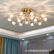 New light luxury living room main light crystal living room ceiling light modern simple LED bedroom light dining room chandelier