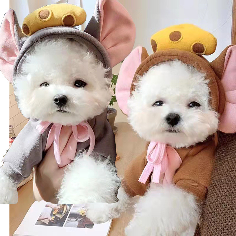 Fruit transformed into dog, cat, small and medium-sized dog, autumn and winter sweatshirt, fleece clothing, supplies, pet teddy, French bulldog manufacturer details Picture