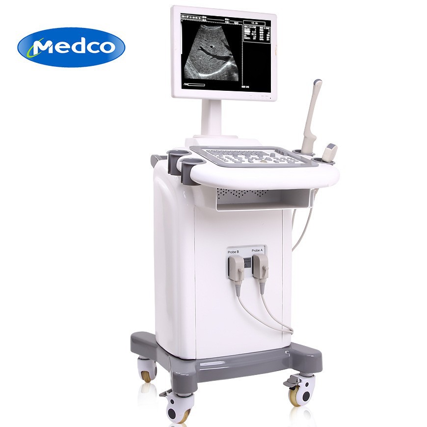 Exclusive for foreign trade, vehicle-mounted black-and-white ultrasound machine, all-digital imaging technology ultrasound diagnostic instrument, human/veterinary B-ultrasound machine