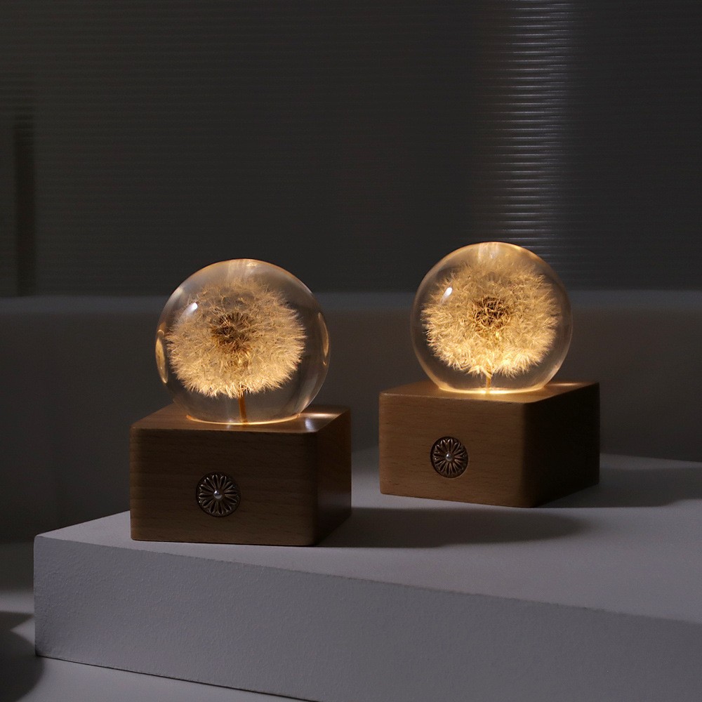 Dandelion plant specimen crystal ball nightlight tabletop decoration Birthday gift for girlfriend teacher home gift