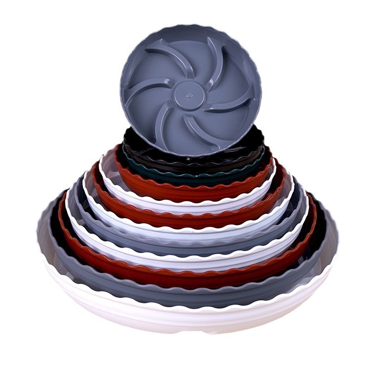 import白底实物图