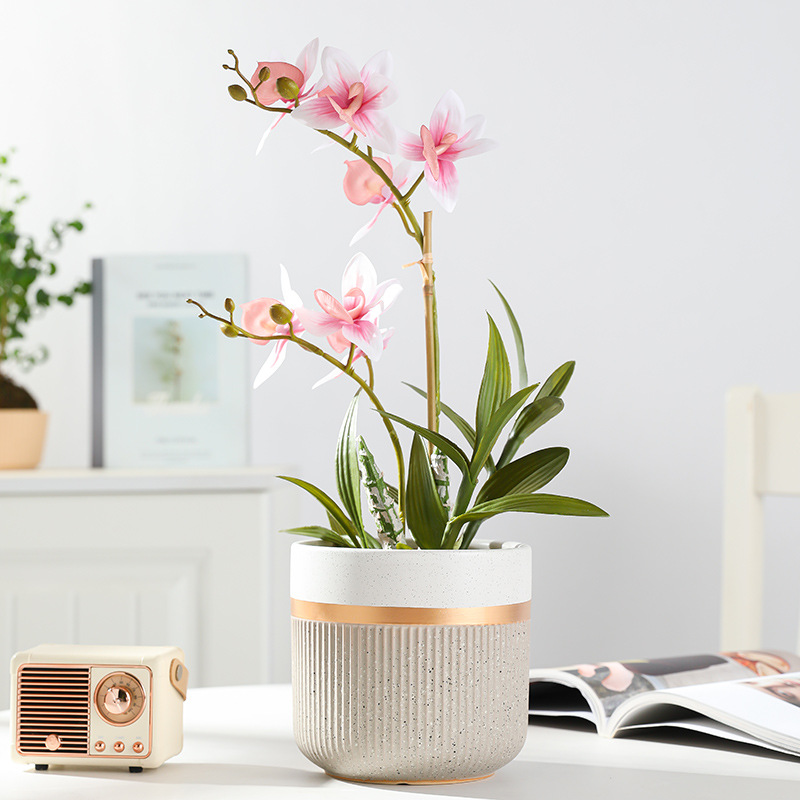 Nordic Ceramic Pot Light Luxury Senior Sense Home Living Room Orchid Green Plant Large Fortune Tree Phalaenopsis Pot Hin details Picture