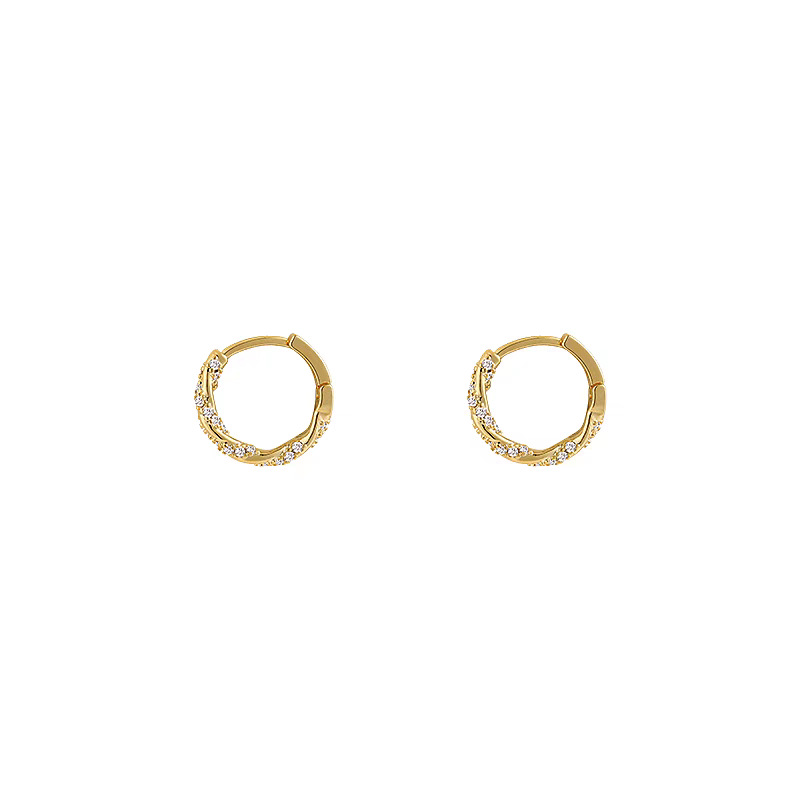 Simple Design Sense Diamond Ring Earrings Female 2024 New Temperament Fashion Exquisite Buckle Earrings Explosive Earrings Item Picture