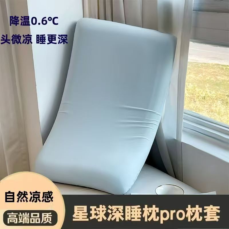 枕套/真丝枕套产品图