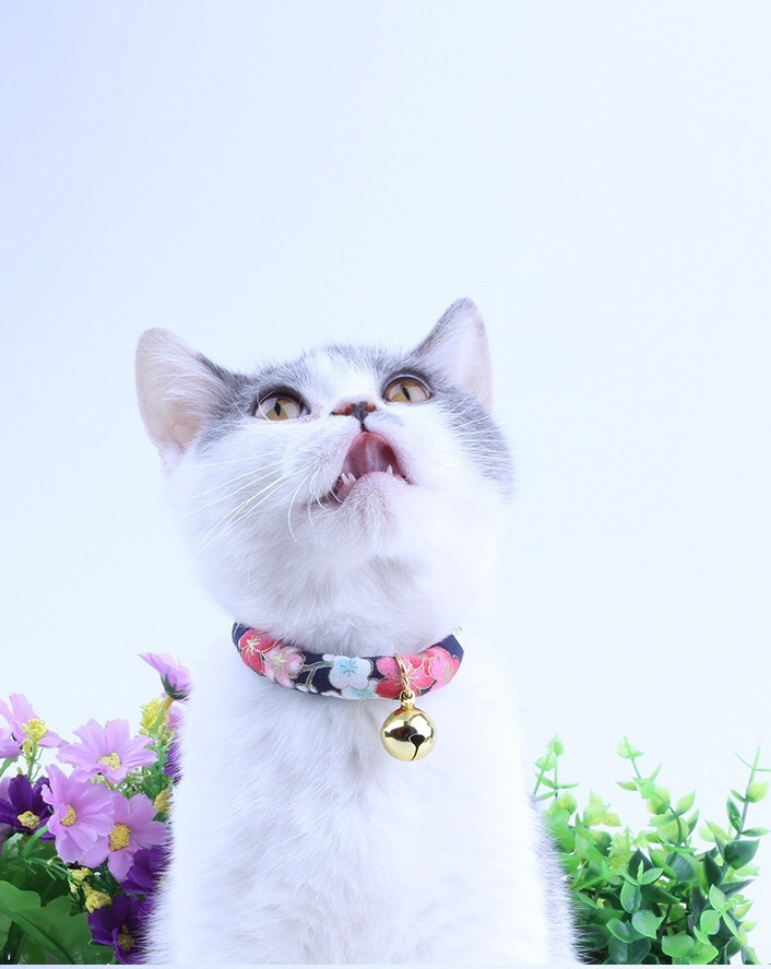 新款和风猫咪铃铛项圈 多款猫咪狗狗脖圈可调节 宠物饰品