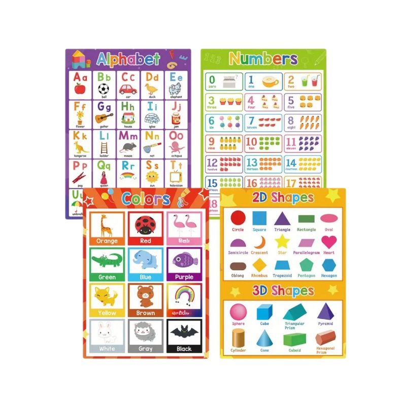 知识卡/教学卡片小册子/语文课前白底实物图