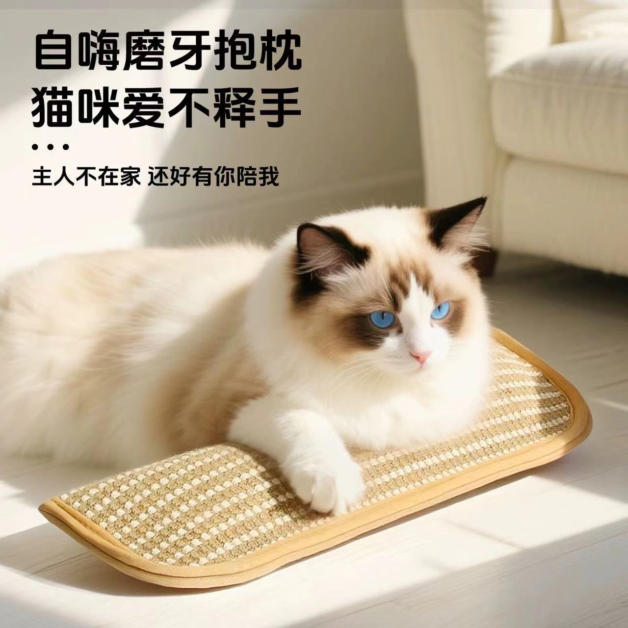 Cat toys, catnip throw pillows, a great tool for playing with cats, self-entertainment and relieving boredom. Pillows that consume energy and help cats grind their teeth details Picture