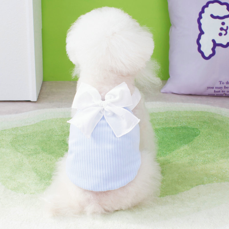 Cute puppy clothing Spring and Summer new pet clothes, dog Teddy Bear VIP 23 light luxury puffy skirt wholesale Application Scenario