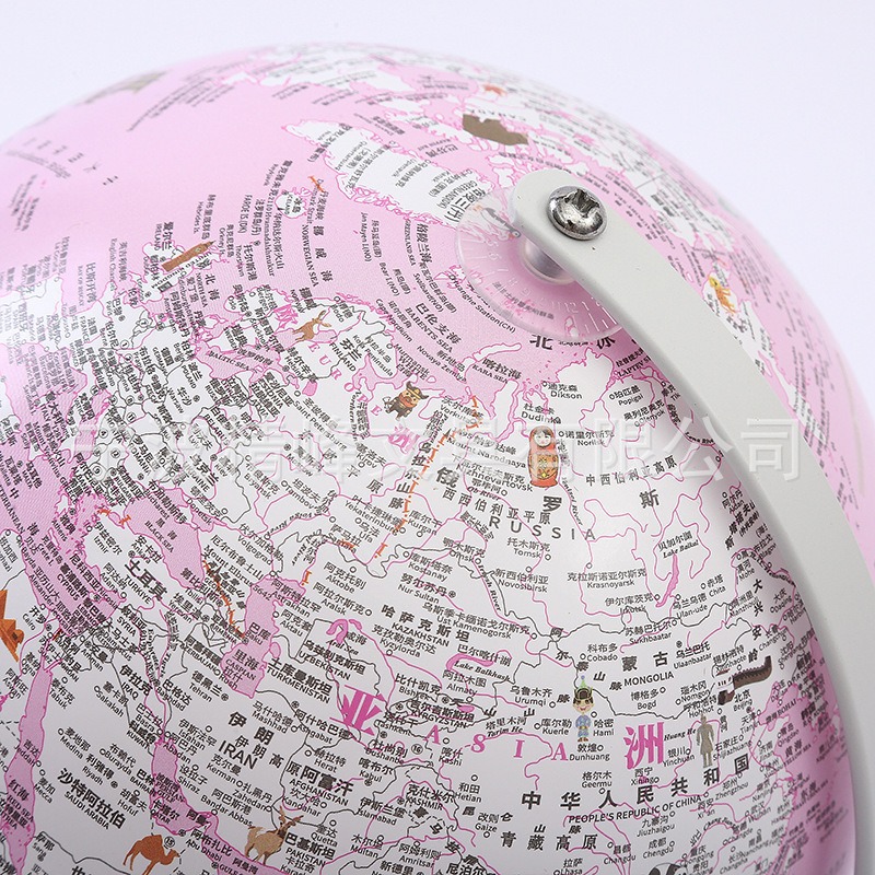 20cm Chinese globe office standard teaching model equipment student dormitory desktop piggy bank globe Application Scenario