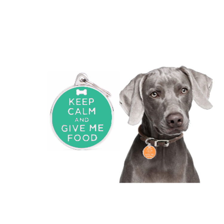 Cross-border new fashionable pet dog brand, metal dog collar, pet cat brand, anti-loss pet necklace, jewelry and accessories Item Picture