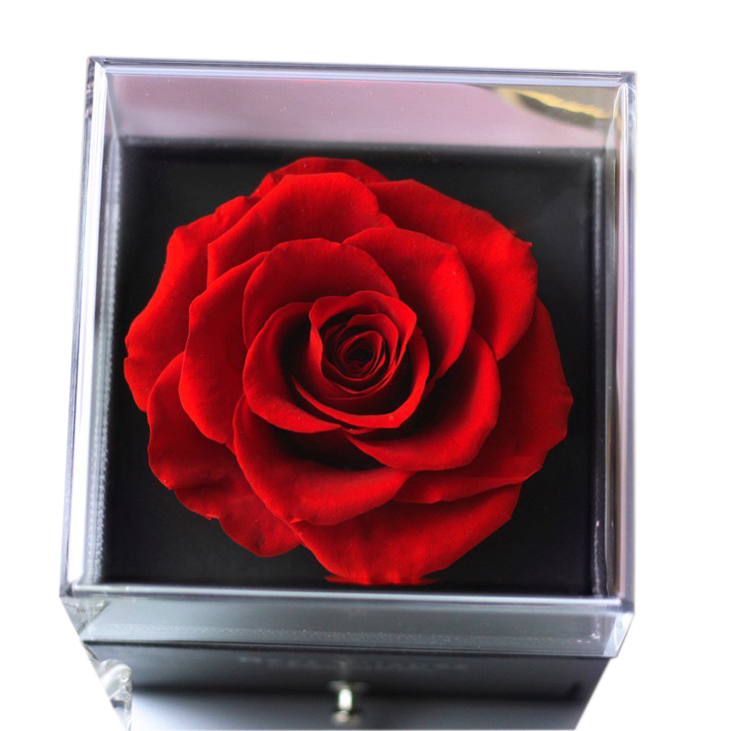 Mother's Day Jewelry Box Necklace Eternal Flower Flower Box Dried Flower Decoration Birthday Gift True Rose Yunnan Eternal Flower Item Picture