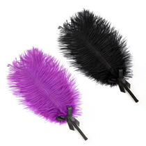 sm women use flirtatious feather foreplay to tease couples supplies ostrich feathers alternative toys adult sex toys
