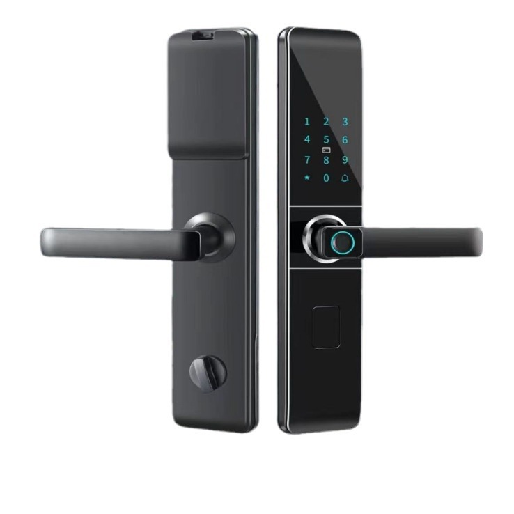 import白底实物图