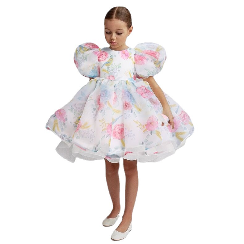 European and American cross-border bestsellers: children's princess dresses, puffed sleeves, first birthday dresses, puffy dresses, autumn dresses, and girls' evening gowns Item Picture