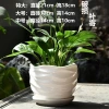 Special sale clearance of large and extra-large ceramic flower POTS with trays, pothos, spider plant flower POTS, succulent flower POTS, simple for home use Item Picture