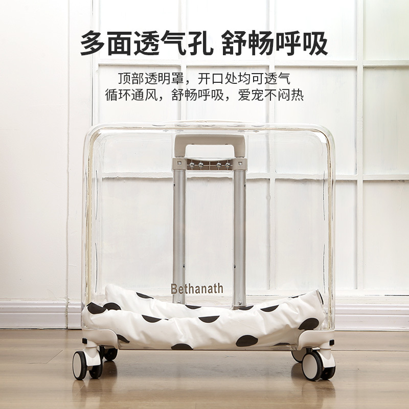 狗狗包、箱实物图