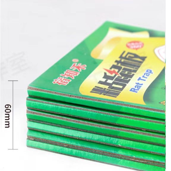 粘蝇纸/苍蝇拍实物图