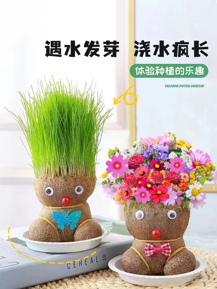 草头娃娃头上长草娃娃开花娃娃儿童浇水头上长草幼儿园种植小盆栽