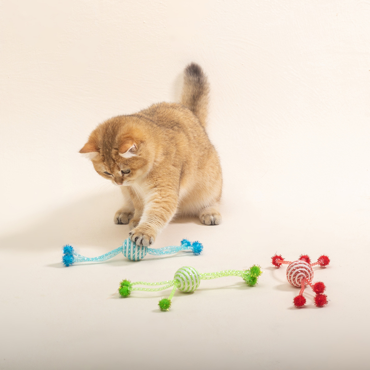 猫玩具网管绕/金聪球猫咪自/猫玩具白底实物图