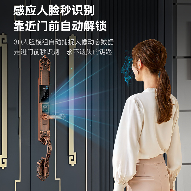 Waterproof, frost-proof, sun-proof, outdoor double-opening door, European-style villa, fingerprint, household, fingerprint password, smart lock, old wooden door Specification image