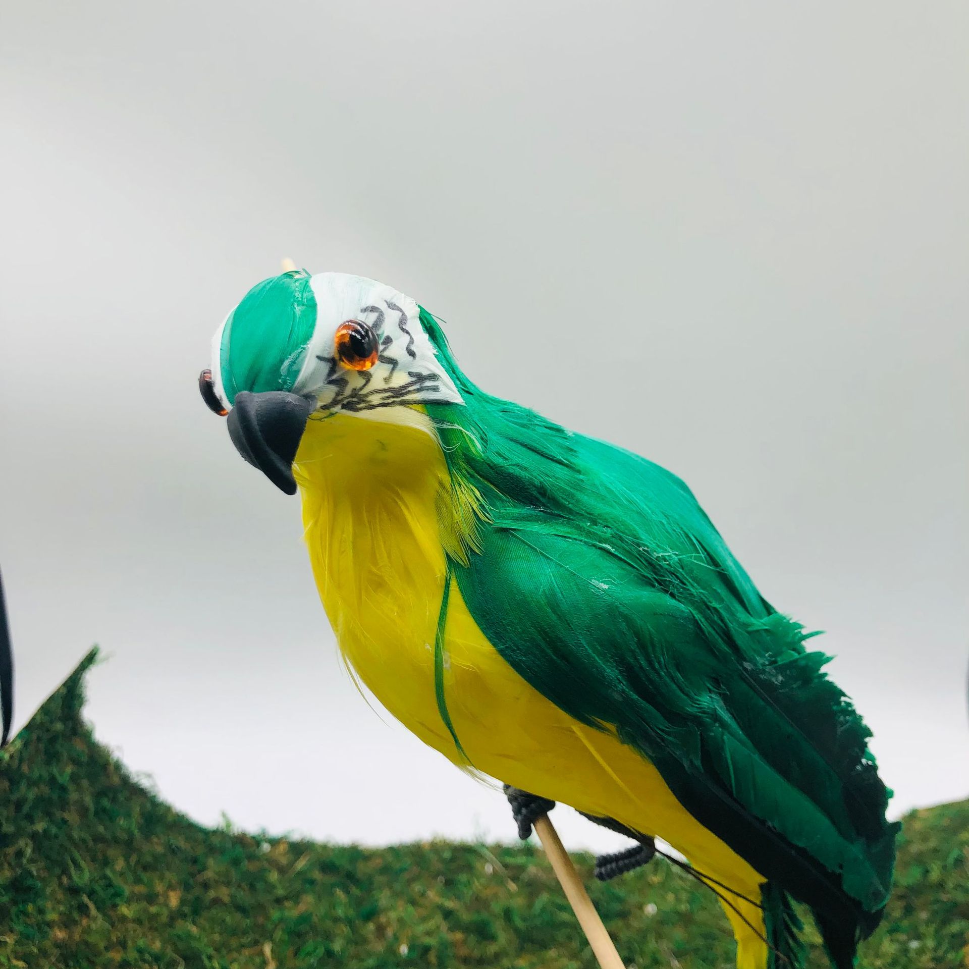 Source Factory Supply Simulation Parrot Macaw Simulation Bird Bird Eggs Feather Parrot Garden Decoration Parrot details Picture