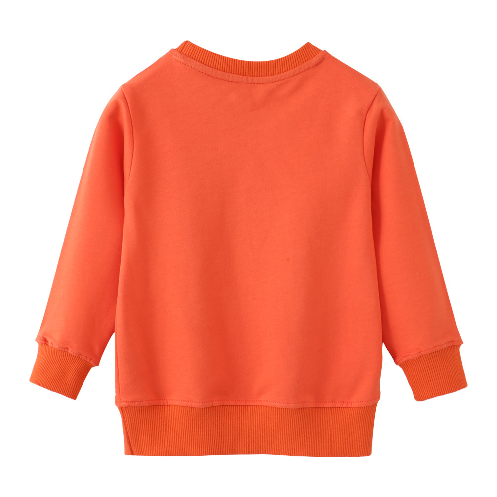 European and American style brand men's and women's clothing, autumn and winter cotton long-sleeved sweatshirts, children's long-sleeved looped sweatshirts, children's clothing Item Picture