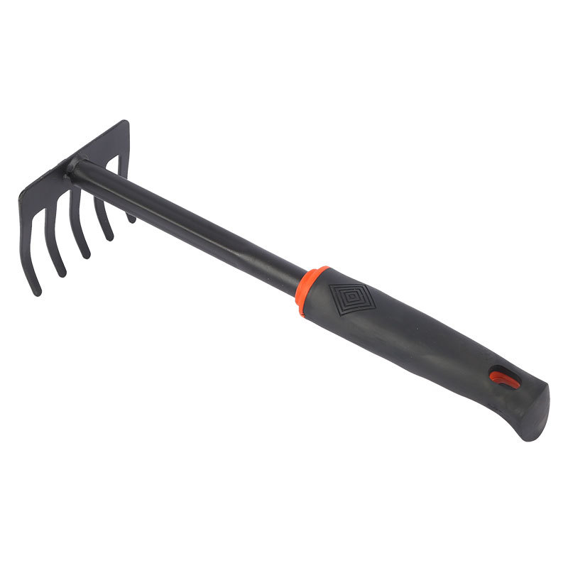 import白底实物图