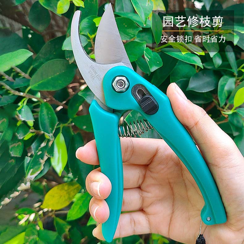 修枝剪树枝专用剪刀园林果树修枝剪剪子艺园剪刀修花家用园林剪刀