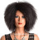 非洲毛毛虫假发 男女通用黑色棕色酒红短发化纤发爆炸头Afro Wigs图