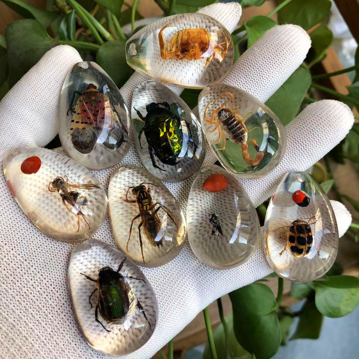 Luminous amber real insect specimen children's excavation archaeological blind box pendant accessory resin accessory insect amber details Picture