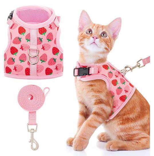 Pet traction products Cute fruit print Breathable durable cat chest back vest breathable pet chest straps Application Scenario
