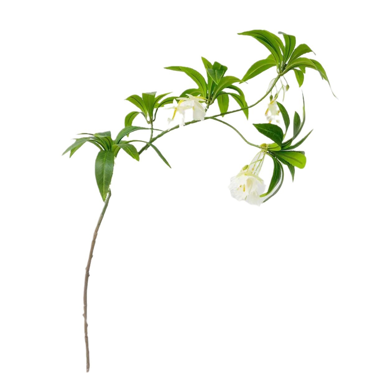 3D装饰灯/园艺用品塑料/圣诞节用品/园艺/圣诞八音盒白底实物图