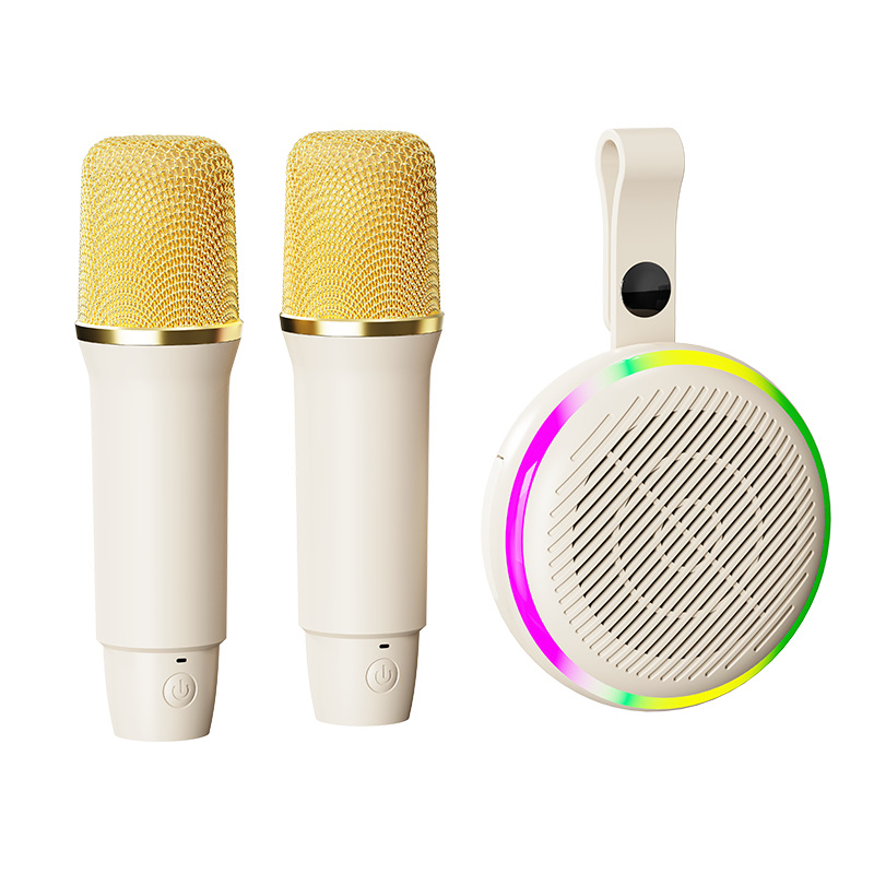 K6 Home karaoke waterproof high-power subwoofer, outdoor microphone, Bluetooth speaker, wireless microphone Item Picture