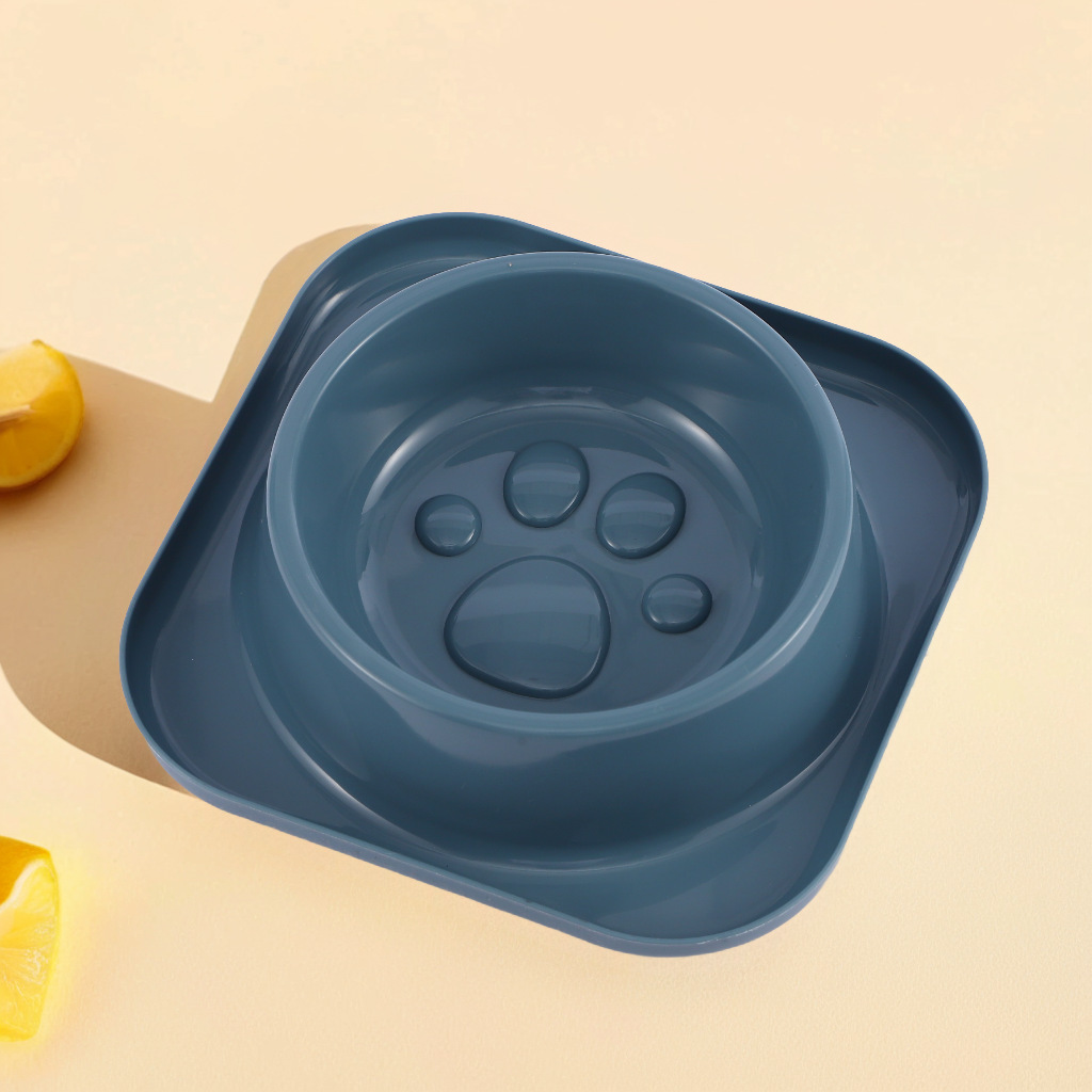 Wholesale of new Amazon cross-border transparent leak-proof single bowl pet food utensils, anti-slip large food bowls for cats and dogs details Picture