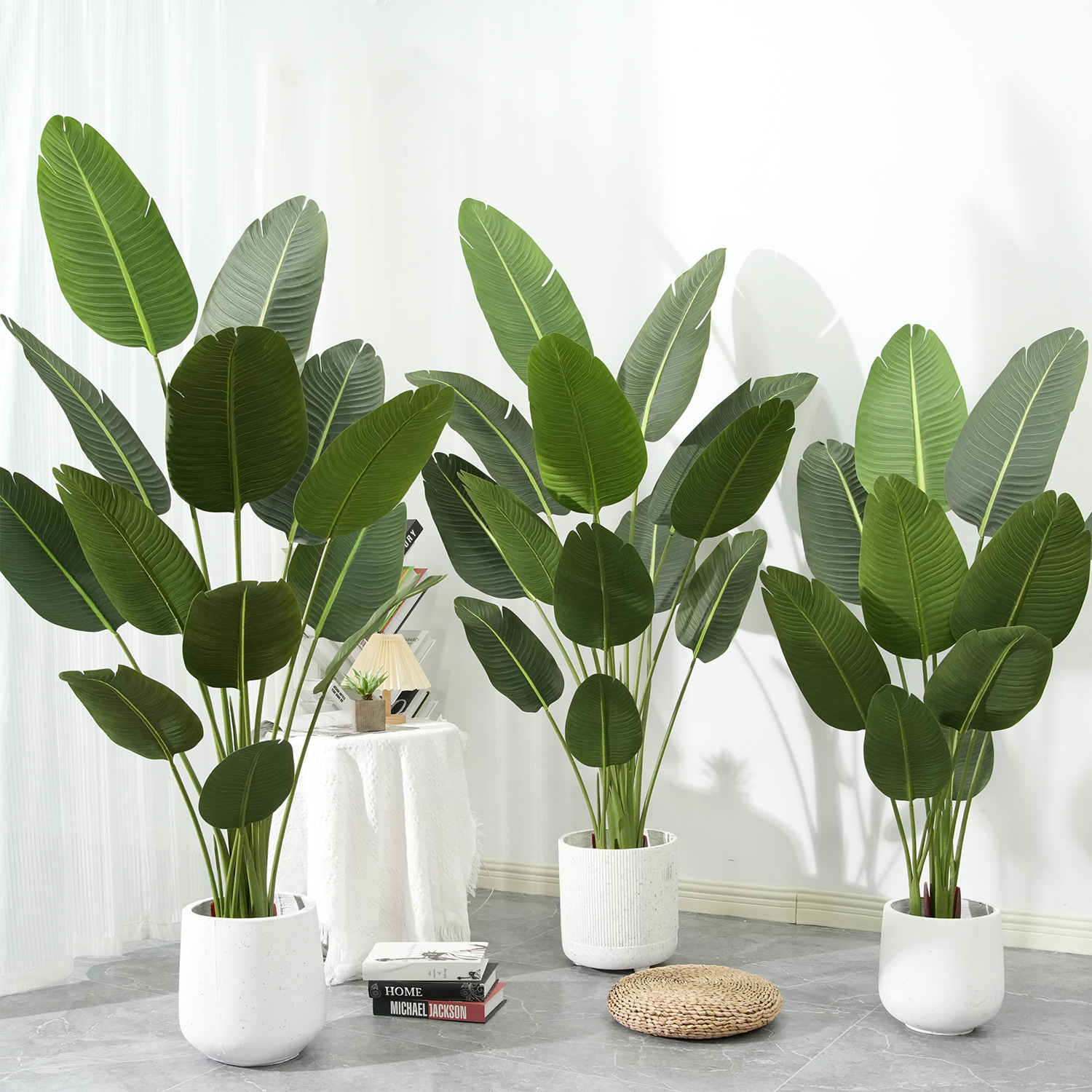仿真植物实物图