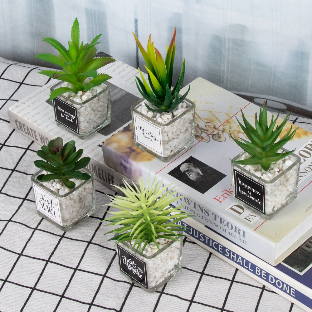 Cross-border home decoration mini potted plant combination, desktop glass stickers, simulated succulent bonsai ornaments, small green plants details Picture