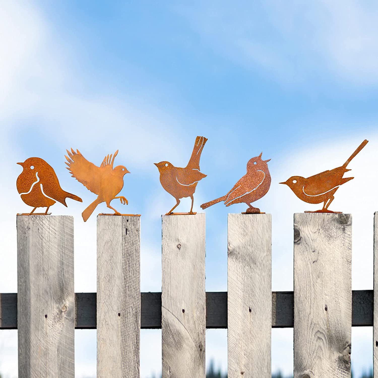 跨境爆款生锈的五只鸟剪影庭院花园螺丝摆件雕塑5PCS Rusty Birds详情图2