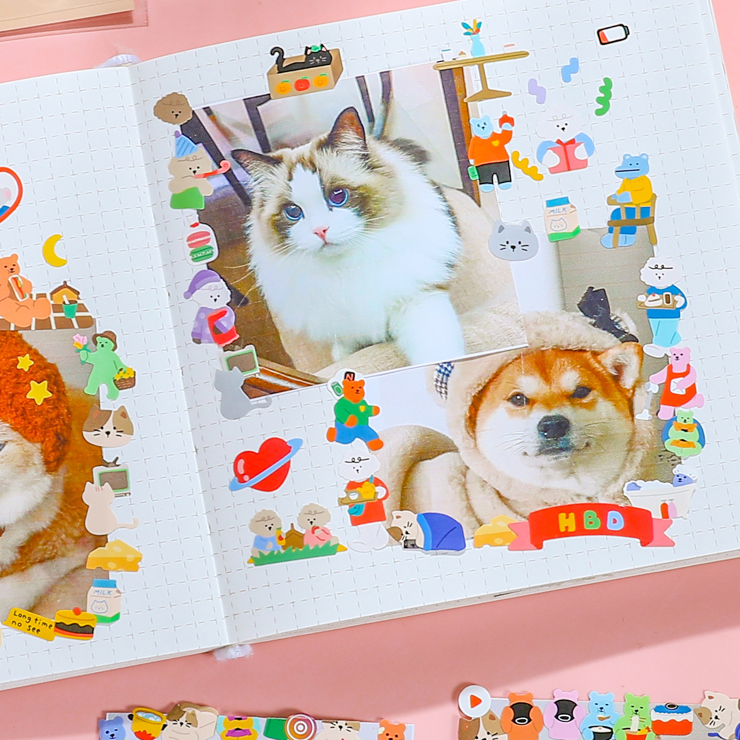 甬德萌熊贩卖产品图