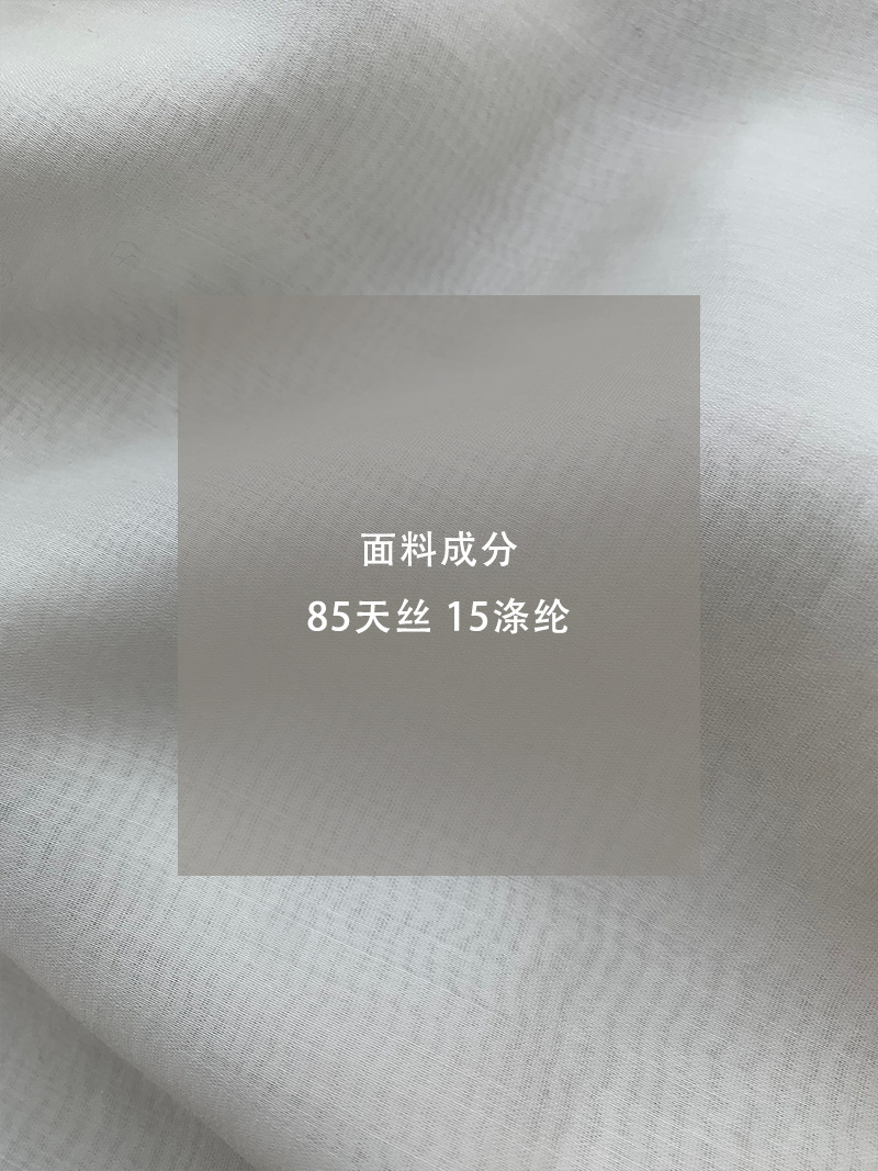 Jiangzuo Bow ribbon Tencel semi-high neck long-sleeved shirt for women's autumn new style commuting shirt, mini shirt 1186 Application Scenario