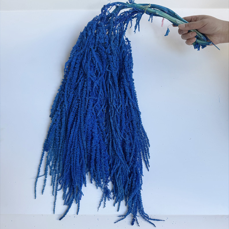 Dried flowers, preserved flowers, preserved hanging rice, Roulisi wedding decoration, hanging factory, direct delivery, preserved hanging rice wholesale, dried flowers pic 7