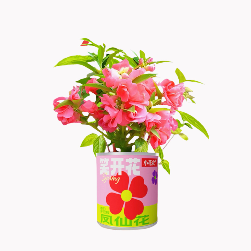 飞机玩具/小飞机航摸/奶油胶/发声带灯玩具/实验材料包白底实物图