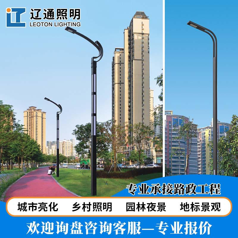 户外道路灯6-10米新款防水市政工程高杆灯小区园区景观灯单臂路灯