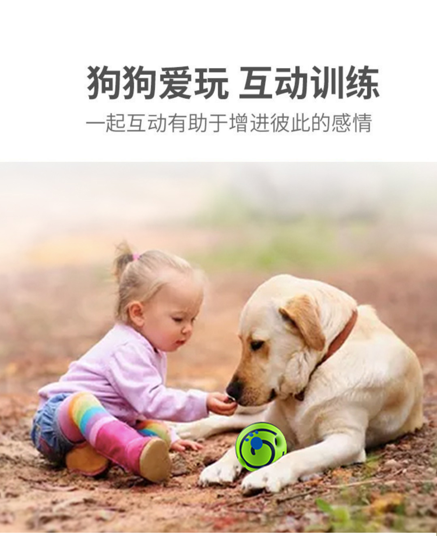 Amazon pet dog toys: Self-entertaining ball, silly laughing ball, rolling sound ball, grinding teeth to relieve boredom, durable bite, a perfect dog teasing tool pic 4