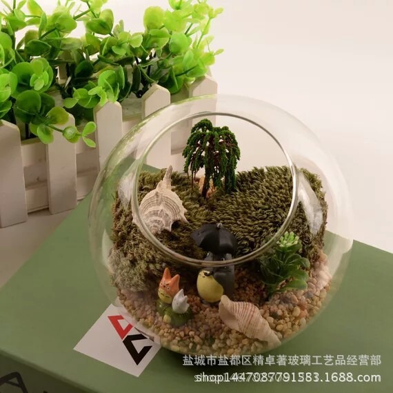 水培植物瓶、生态瓶实物图