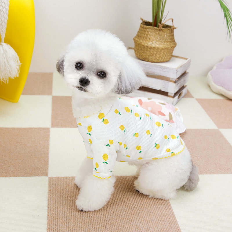 Spring and summer thin, cool, breathable, casual sleeved T-shirt for dogs and cats, suitable for both big and small dogs as well as cats Specification image